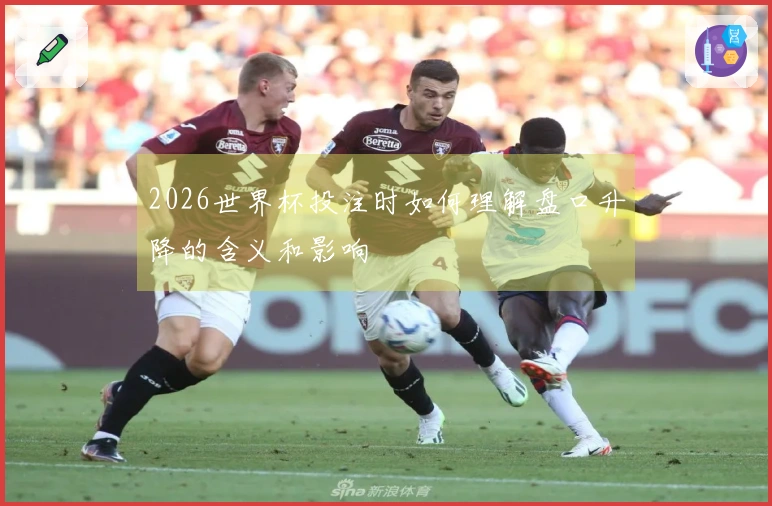 2026世界杯投注时如何理解盘口升降的含义和影响