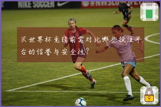 买世界杯竞猜前需对比哪些投注平台的信誉与安全性？