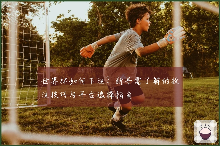 世界杯如何下注？新手需了解的投注技巧与平台选择指南