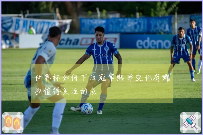 世界杯如何下注冠军赔率变化有哪些值得关注的点