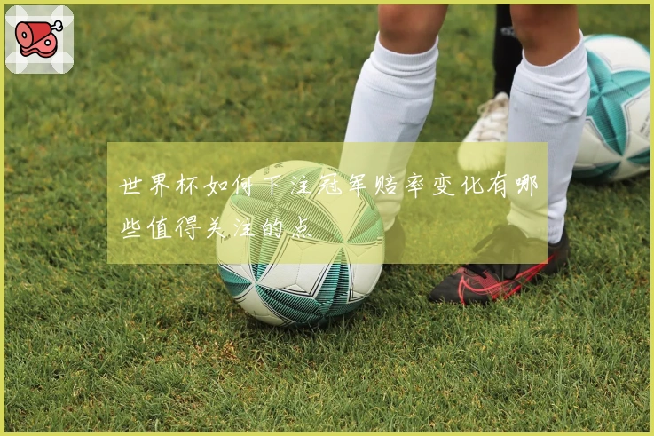 世界杯如何下注冠军赔率变化有哪些值得关注的点