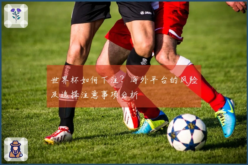 世界杯如何下注？海外平台的风险及选择注意事项分析