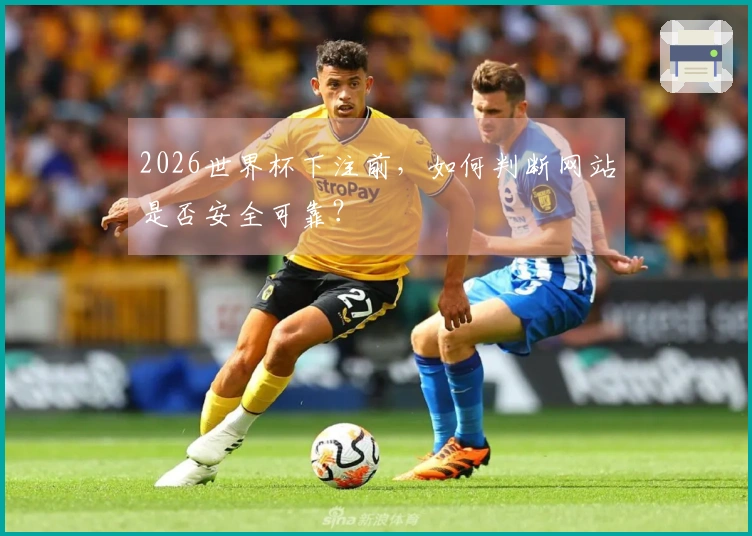 2026世界杯下注前，如何判断网站是否安全可靠？