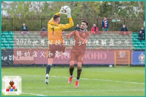 2026世界杯投注时如何理解盘口升降的含义和影响